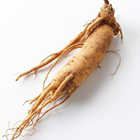 Ginseng