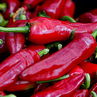 Piment de Cayenne